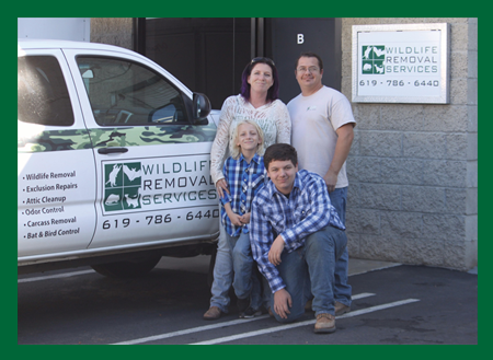 wildlife removal company photo